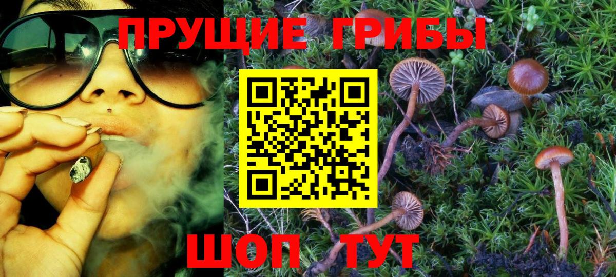 Псилоцибиновые грибы Magic Shrooms Бутурлиновка