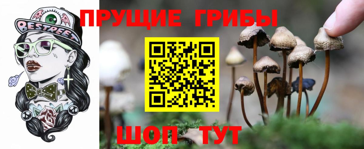 Галлюциногенные грибы мицелий  Вход с VPN  Бутурлиновка 